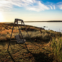 短信压力测试器免费网页版