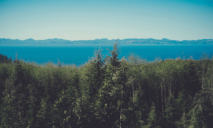 轰炸短信信息软件免费版