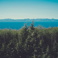 短信压力测试器免费网页版