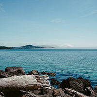 手机号轰炸平台